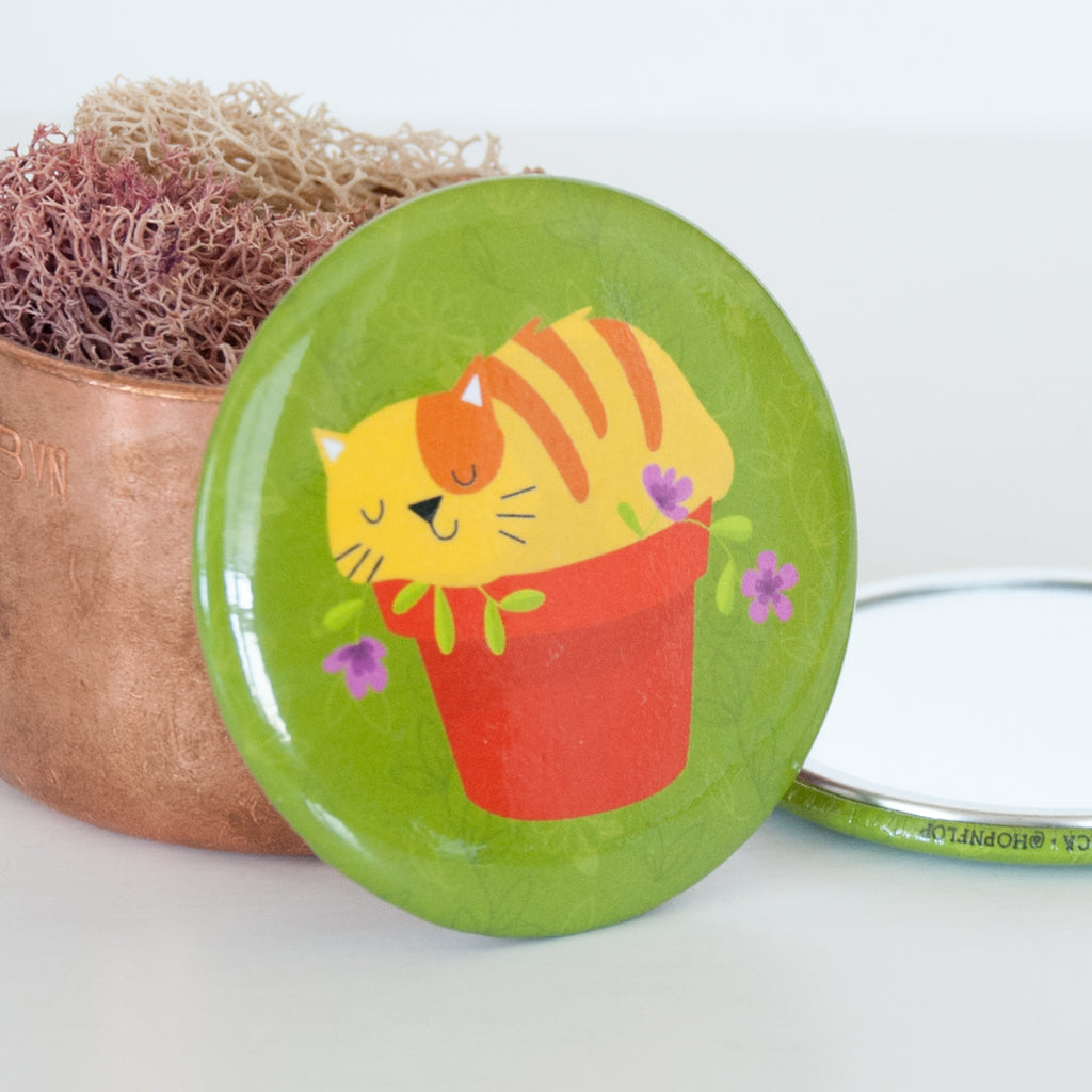 Close up of the Cat in flower pot mirror